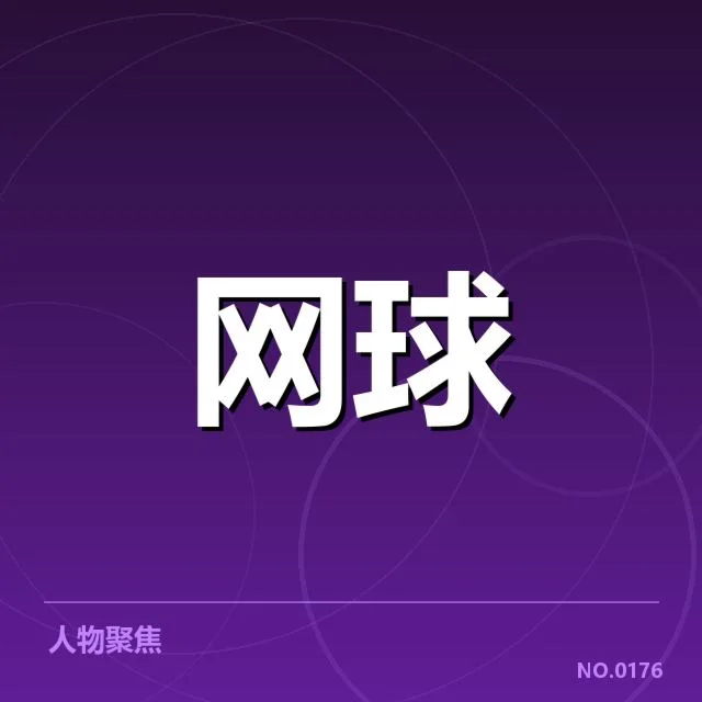 已确立的技术特点与比赛数据